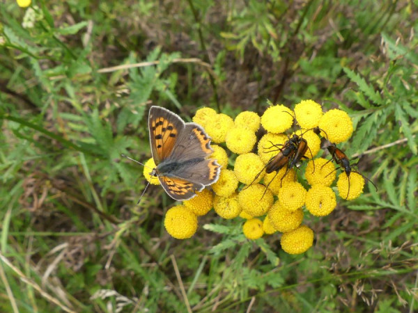 P1510434.JPG