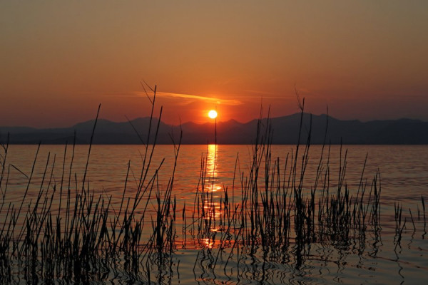 Bardolino2.jpg