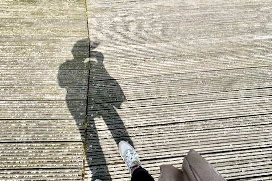 IMG_6382.jpeg