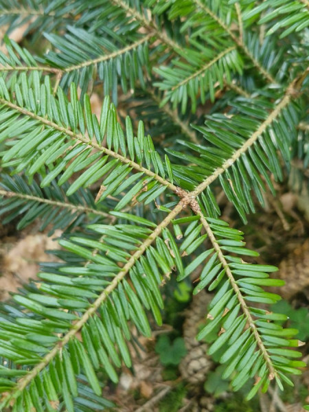 20240814_104620.jpg