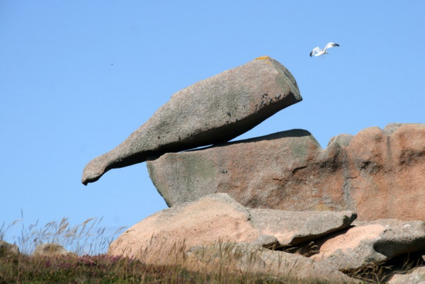 2014-08-11_3268_RosaGranitKueste2.JPG