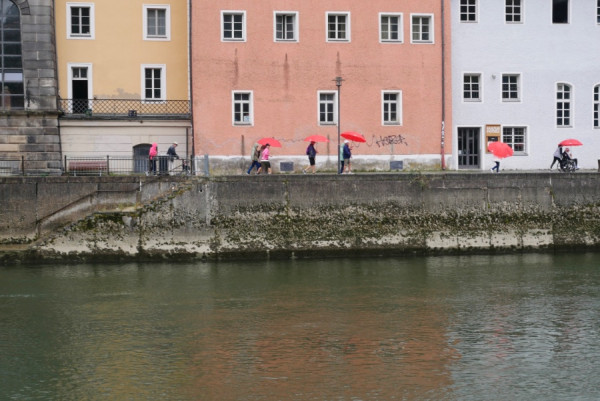 985AC196-7D55-406F-A7EA-9E82FC47ADFF_1_201_a.jpeg