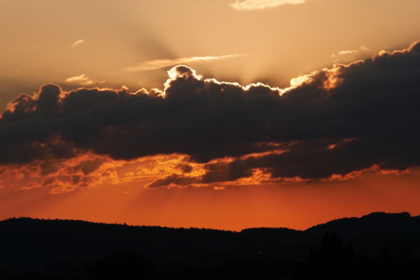 _1370135 (1).jpeg