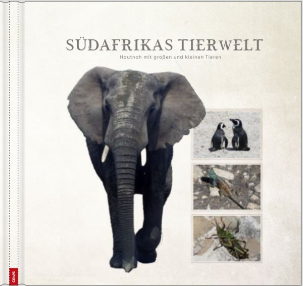 CoverKoala2.jpg