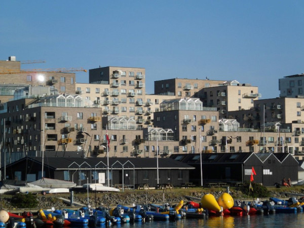 DSCI2364.JPG