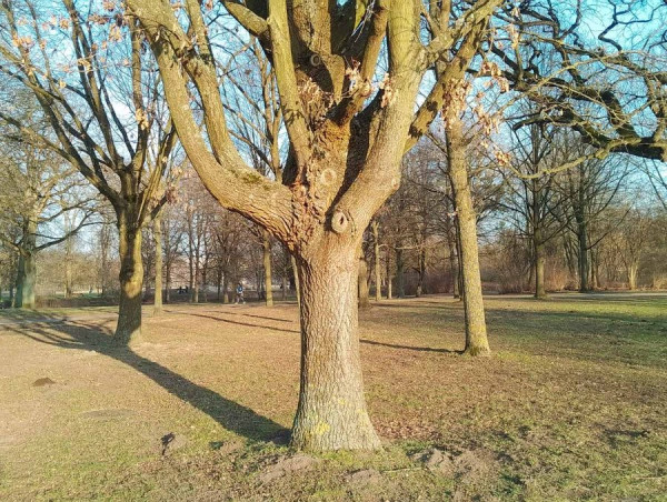 2503_Frühling-02.jpg