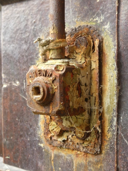 Closeup_4.jpg