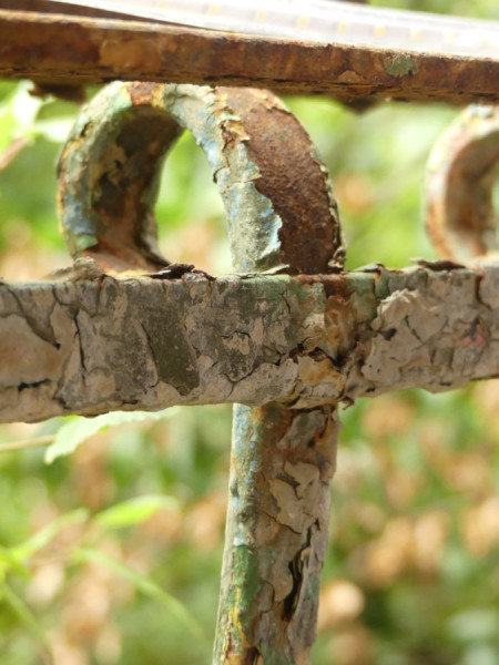 Closeup_5.jpg