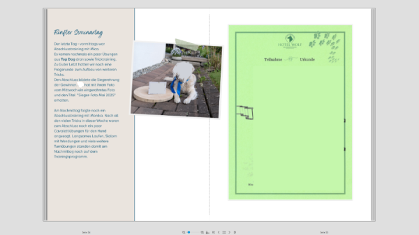 Screenshot (62).png