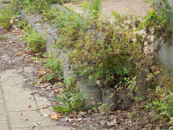 2507_Sommer-03.jpg