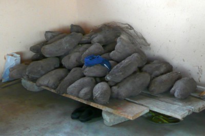 Yams_P1000512.jpg
