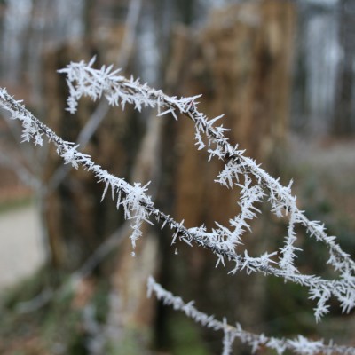 071222_0346_Eiszauber.jpg