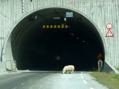 110812_P1977_Norge.JPG