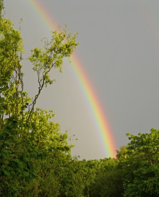 Regenbogen.jpg