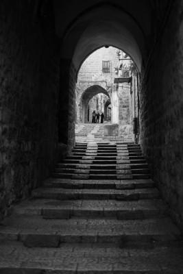 mini_DSC_6475.jpg