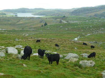 110821_P1708_Norge.JPG