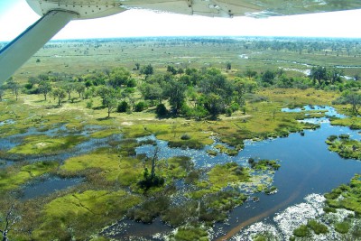Flug über das Okavango Delta.jpg
