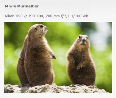 Beispiel.JPG