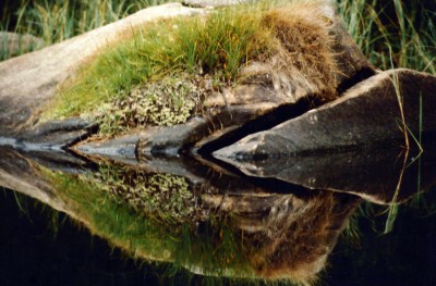 1986-08_001_Schweden.jpg