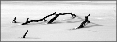 Eiszeit.jpg