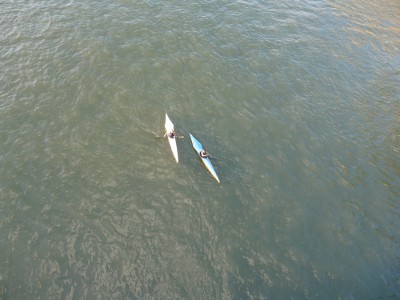 Rhein.jpg