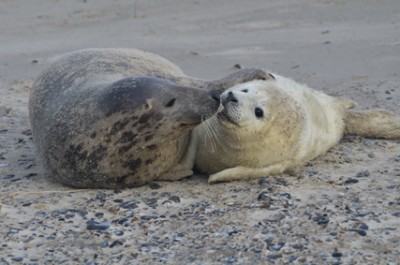 Liebe ist_CEWE.jpg