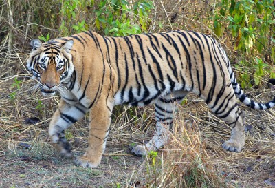 2013-Indien-20022013-044.jpg
