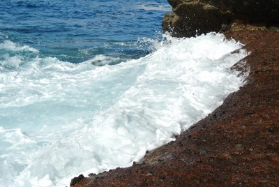 DSC_0590.JPG