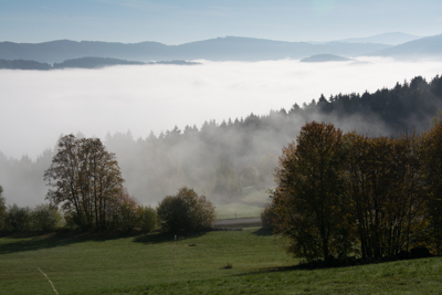 Nebel.jpg