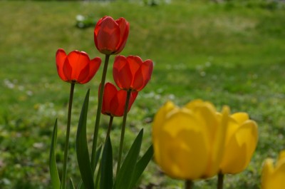 DSC_0212.JPG