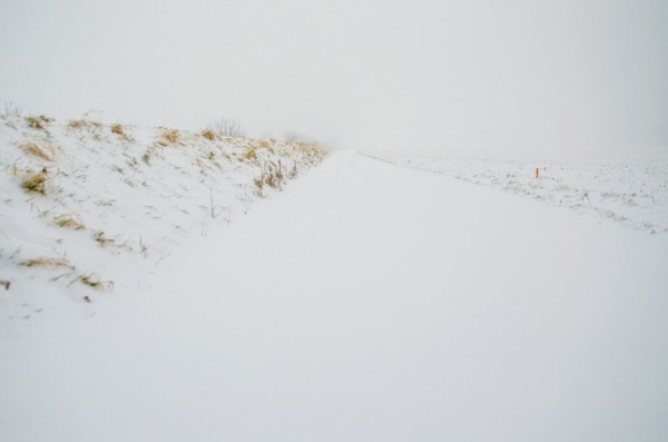 DSC_0028.jpg