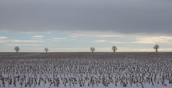 Challange-schnee.jpg