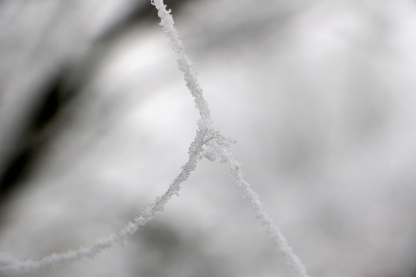 20161207_0001k.jpg