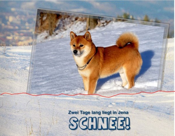 Schnitt.JPG