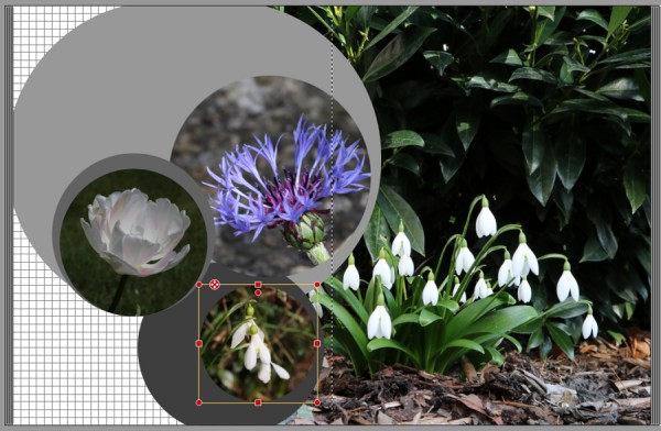 Kreise.jpg (398.53 KiB) 7507 mal betrachtet Kreise.jpg