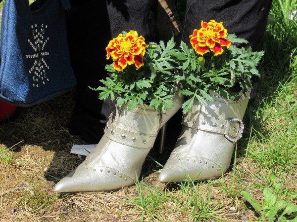 Schuhe IMG_1590.JPG