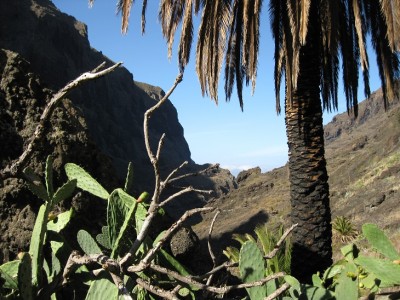 mascaschlucht.jpg
