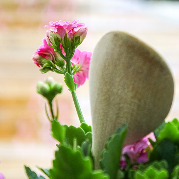 Kochlöffel meets Blüten.jpg