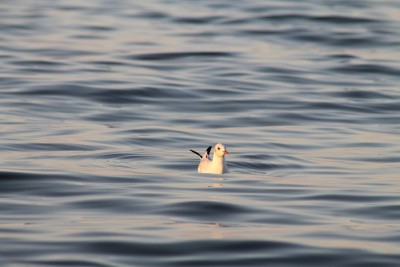 IMG_3974.JPG