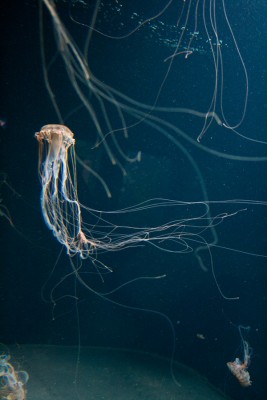 IMG_6963_neu.jpg