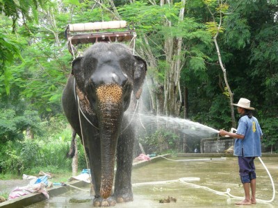 Thailand.jpg