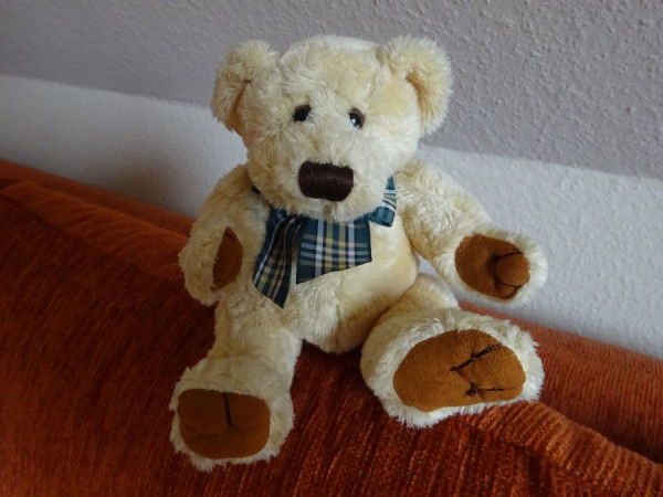 Bär DSC02456s.JPG