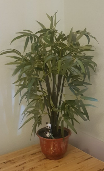 20201202_123116.jpg