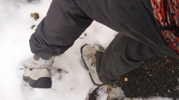 20201205_153203.jpg
