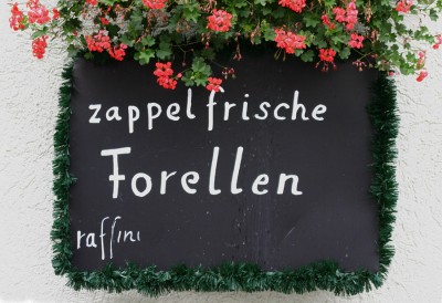 Zappelfrisch.jpg