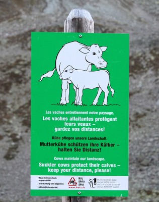 Am_Julierpass.jpg