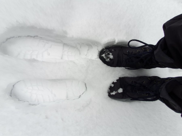 20201206_112141.jpg