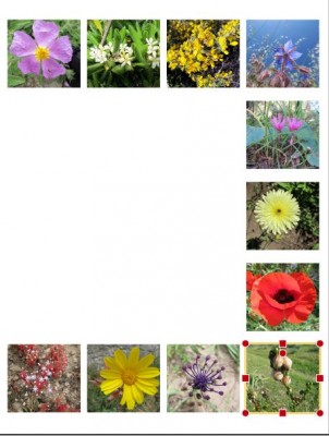 Layout1.JPG