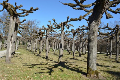 DSC_0090.jpg