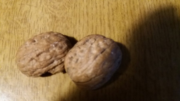 20201231_160614.jpg